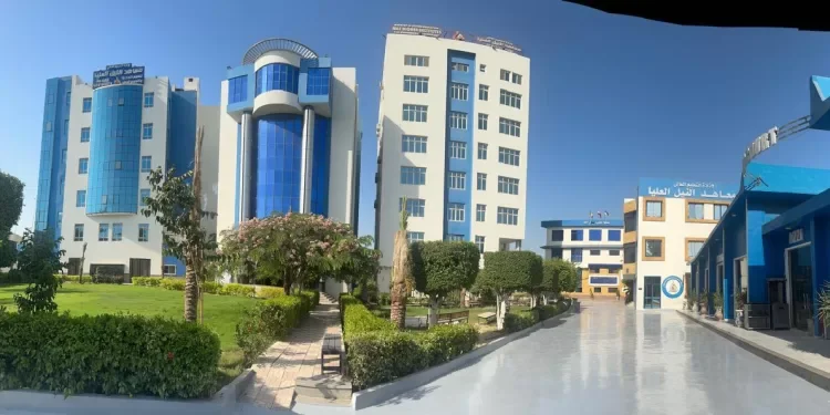المكتبة